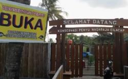 Video Ratusan Penyu Langka di Lokasi Konservasi Kelaparan