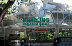 Video PPKM Diperpanjang, Kebun Binatang Bandung Berencana Menyembelih Rusa untuk Pakan Harimau