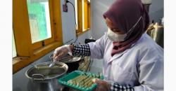 Kreasi Sosis Ikan Mahasiswa UB, Unik dan Sehat Mengandung Daun Kelor