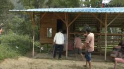 Video Lokasi Isoman Bersebelahan dengan Kandang Kerbau, Pasien Covid-19 di Toba Kabur