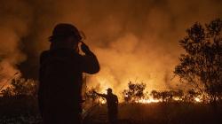 Kebakaran Lahan di Ogan Ilir, Petugas Gabungan Berjibaku Padamkan Api<