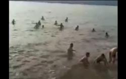 Heboh Puluhan Pasien Covid-19 di Kolaka yang Dikarantina Ramai-Ramai Mandi di Laut