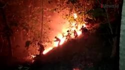 Api Lahap Kebun Warga di Pangandaran, Jawa Barat