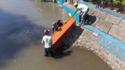 Gemparkan Warga, Peti Mati Hanyut di Sungai Bondoyudo Jember 