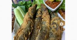 Cara Membuat Lele Goreng Kremes, Renyah dan Gurih Bikin Ketagihan