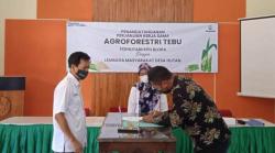 Perhutani KPH Blora Sediakan 222,78 Hektare untuk Agroforestry Tanaman Tebu