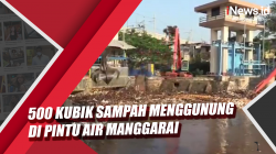 Video 500 Kubik Sampah Menggunung di Pintu Air Manggarai