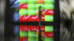 Baru IPO, Saham KUAS Melesat 34,36 Persen Kena Auto Reject Atas