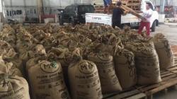 Ekspor Kopi Indonesia Terkendala Ketersediaan Kontainer, Turun 10 Persen per Juni 2021 