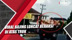 Video Viral Bajing Loncat Beraksi di Atas Truk, 2 Pelaku Ditangkap