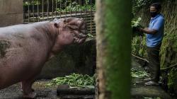 7 Ton Sayuran Didonasikan untuk Pasokan Makanan Hewan Bandung Zoological