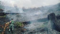 Karhutla di Aceh Tengah Hanguskan 13 Hektare Lahan Warga<