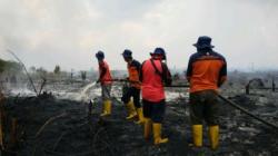 Karhutla di Sambas Capai 60 Hektare, Dipicu Pembukaan Lahan dengan Cara Dibakar
