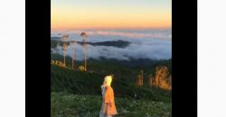 Ide Wisata di Bandung, Asyik ke Taman Langit Pangalengan Menikmati Hamparan Awan