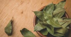 Selain Bikin Makanan Jadi Lezat, Ternyata Daun Salam Bermanfaat untuk Diabetes