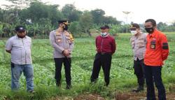 Rugi hingga Babat Hasil Panen, Petani Sukabumi Curhat ke Kapolres
