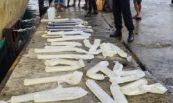 260 Liter Miras Sopi Dimusnahkan di Pelabuhan Ambon, Pemiliknya Menghilang