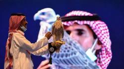 Elang Langka Arab Saudi Ini Terjual Rp1 Miliar