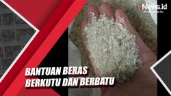 Video Warga Angke Jakbar Keluhkan Bantuan Beras Berkutu dan Berbatu