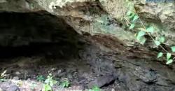 Gua Purba Ditemukan di Hutan Lamongan, Banyak Keanehan Terjadi!