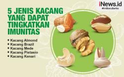 Infografis 5 Jenis Kacang untuk Tingkatkan Imunitas Tubuh