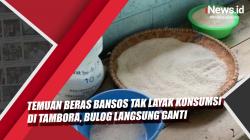 Video Temuan Beras Bansos Tak Layak Konsumsi di Tambora, Bulog Langsung Ganti