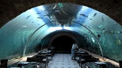 Restoran Terindah di Dunia, Menyantap Makanan Ditemani 2.400 Ekor Ikan