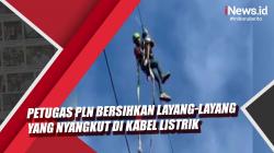 Video Viral Aksi Petugas PLN Bersihkan Sampah Layang-Layang di Kabel Listrik