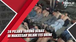 Video 28 Pelaku Tarung Bebas di Makassar Jalani Tes Urine
