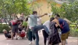 Heboh Para Pengunjung Kebun Binatang Baku Hantam, Ditonton lalu Ditiru Hewan