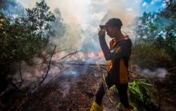 4 Titik  Panas Terdeteksi di Kaltim, Tersebar di 2 Kabupaten<