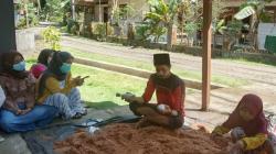 Pembudidaya Jamur Tiram di Pangandaran, Bermodal Rp25.000, Raup Untung Rp12 Juta