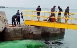 Truk Pakan Ternak Nyemplung ke Laut di Pelabuhan Merak, Sopir Selamat