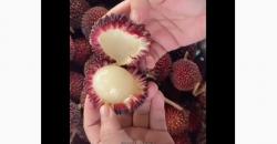 Mirip Rambutan, Buah Ini Dipercaya Bisa Cegah Kanker