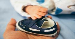 Teknologi Yang Terinspirasi dari Tumbuhan