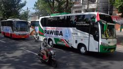 Cara Mendirikan PO Bus Pariwisata sampai Bisa Beroperasi, Harus Gabung Asosiasi Ini