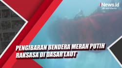 Video Komunitas Penyelam Maumere Kibarkan Bendera Merah Putih Raksasa di Dasar Laut