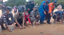 Sambut HUT Ke-76 RI, Lanal Tanjungbalai Asahan Lepas Liarkan Ratusan Ekor Tukik