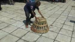 Bikin Ngakak, Lucunya Pasien Resos saat Lomba Tangkap Ayam Berlabel Harun Masiku 