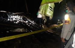 Gegara Sarang Tawon, Gudang Kayu Ludes Terbakar