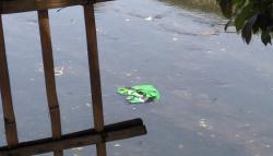 Jasad Perempuan Terbungkus Selimut di Bandung, Pembunuh Masih Berkeliaran Bebas <