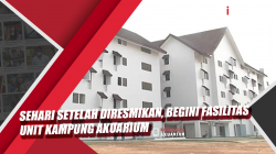 Video Sehari setelah Diresmikan, Begini Fasilitas Unit Kampung Akuarium