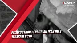 Video Pelaku Teror Pencurian Ikan Hias Terekam CCTV
