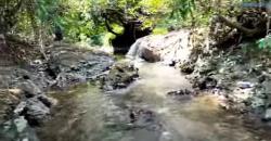 Viral Pemandangan Alami Sungai Tretes Lamongan, Ternyata Menyimpan Fosil Batu Laut