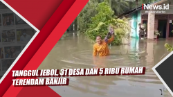 Video Tanggul Jebol, 31 Desa dan 5 Ribu Rumah Terendam Banjir