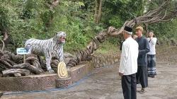 Misteri Pohon Raga Sakti di Situs Keramat Cimandung Cirebon, Dipercaya Jelmaan Naga<