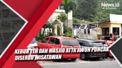 Video Kebun Teh dan Masjid Atta'Awun Puncak Diserbu Wisatawan