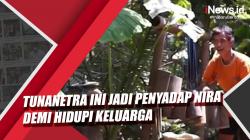 Video Kisah Tunanetra jadi Penyadap Nira Demi Hidupi Keluarga