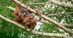 Sandiaga Uno Ajak Anak Muda Promosikan Indonesia Jadi Pusat Ekowisata Dunia