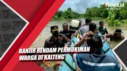 Video Banjir Rendam Permukiman Warga di Kalteng, Petugas Berupaya Selamatkan Warga